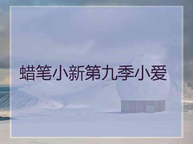 蜡笔小新第九季小爱