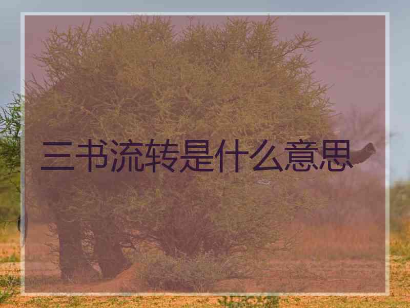 三书流转是什么意思