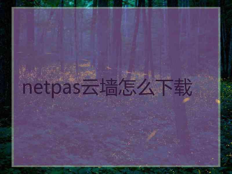 netpas云墙怎么下载