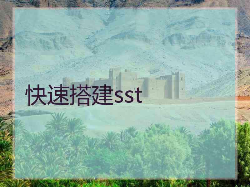 快速搭建sst