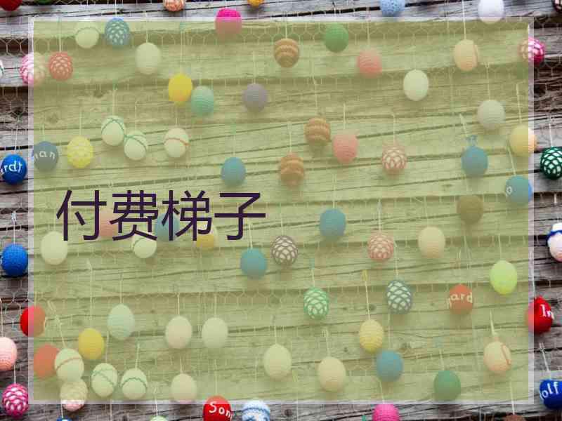 付费梯子