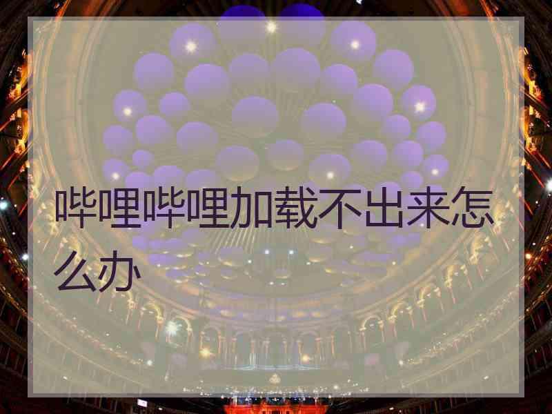 哔哩哔哩加载不出来怎么办