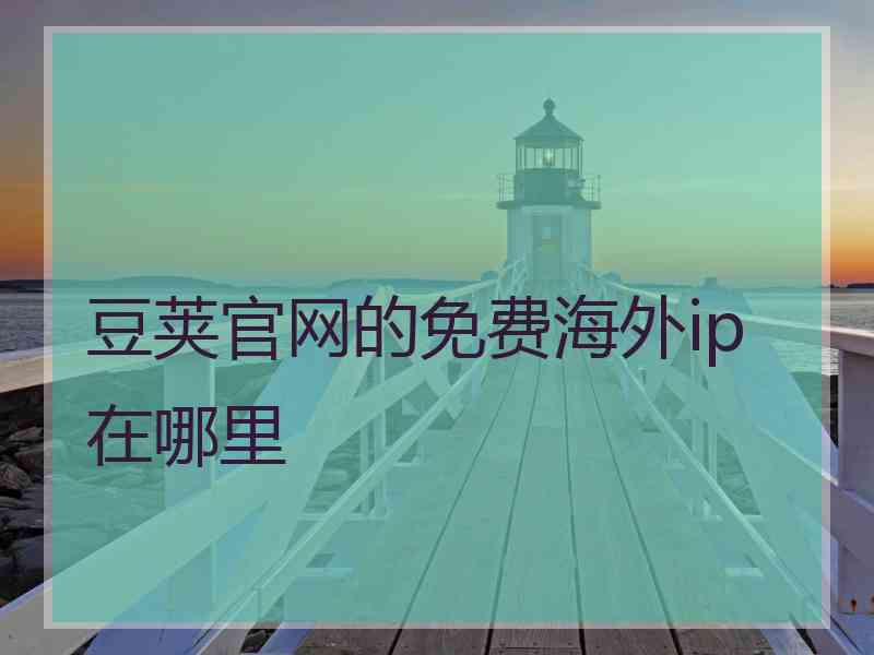 豆荚官网的免费海外ip在哪里