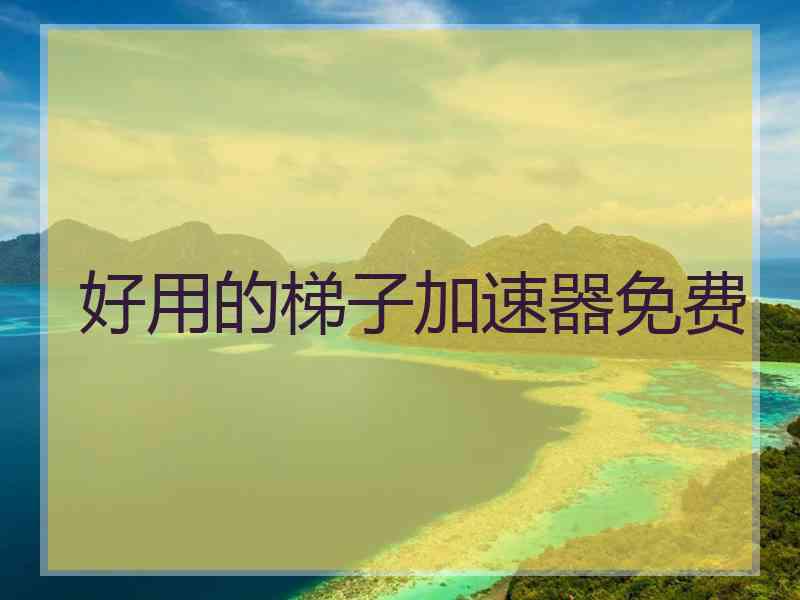 好用的梯子加速器免费