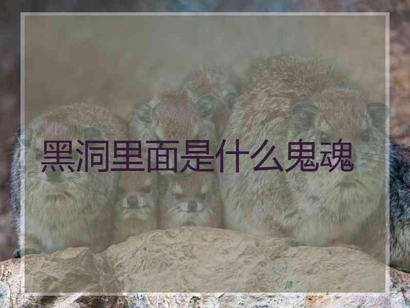 黑洞里面是什么鬼魂