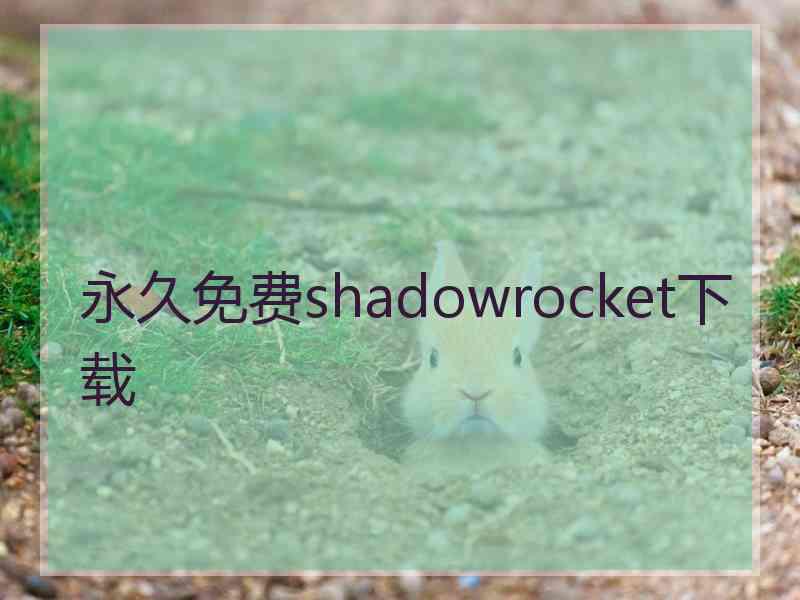 永久免费shadowrocket下载
