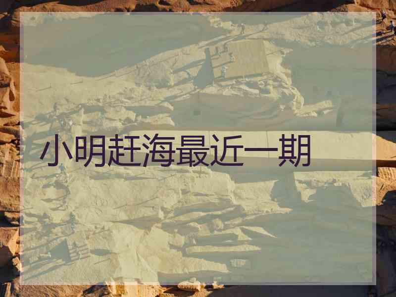 小明赶海最近一期