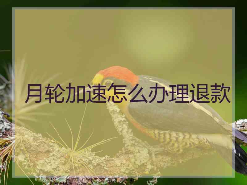 月轮加速怎么办理退款
