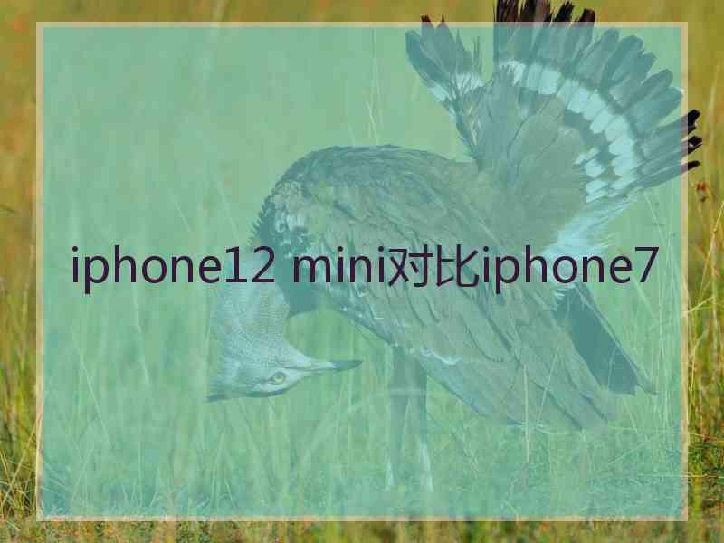 iphone12 mini对比iphone7