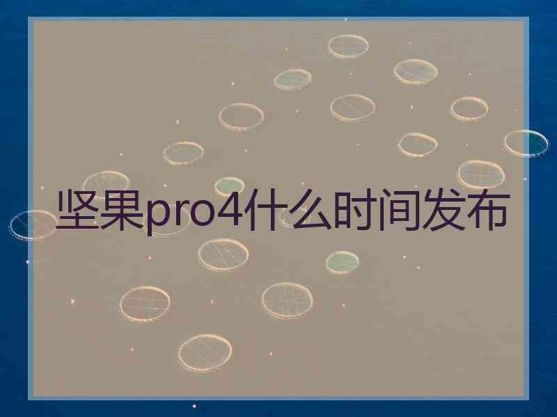 坚果pro4什么时间发布