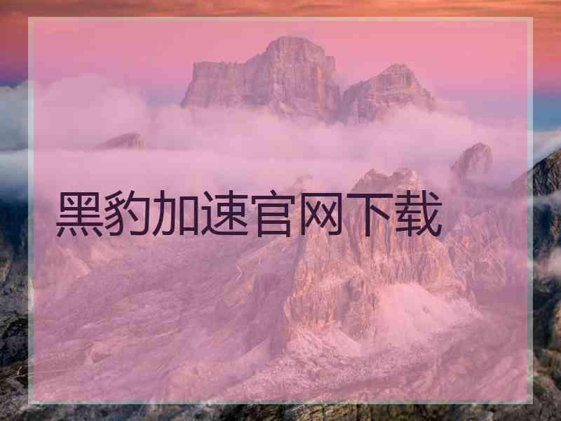 黑豹加速官网下载
