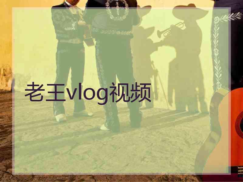 老王vlog视频