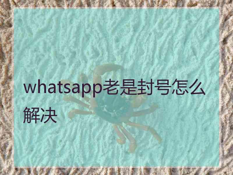 whatsapp老是封号怎么解决