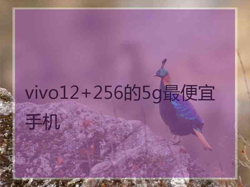 vivo12+256的5g最便宜手机
