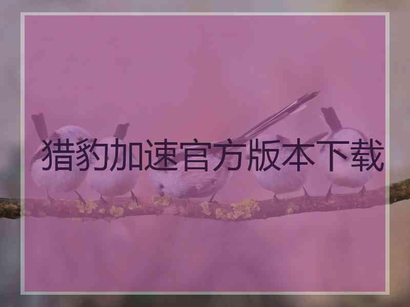 猎豹加速官方版本下载