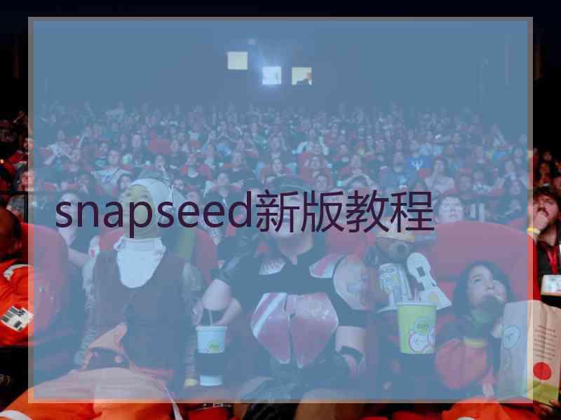 snapseed新版教程
