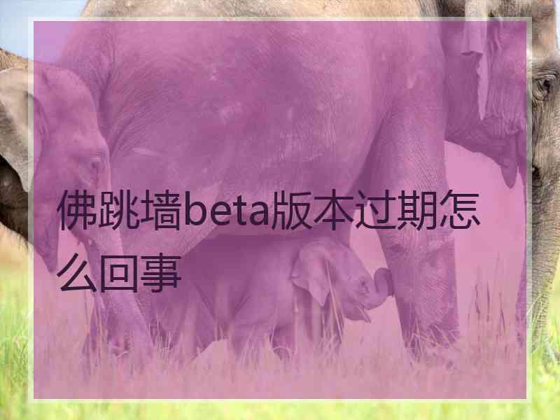 佛跳墙beta版本过期怎么回事
