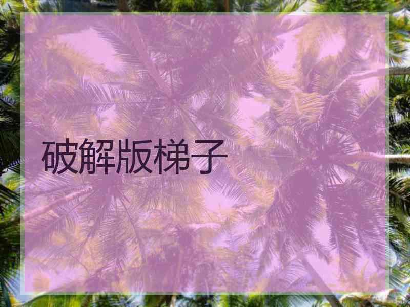 破解版梯子