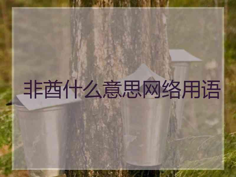 非酋什么意思网络用语