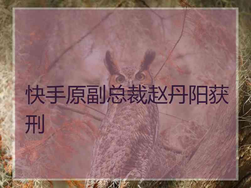 快手原副总裁赵丹阳获刑