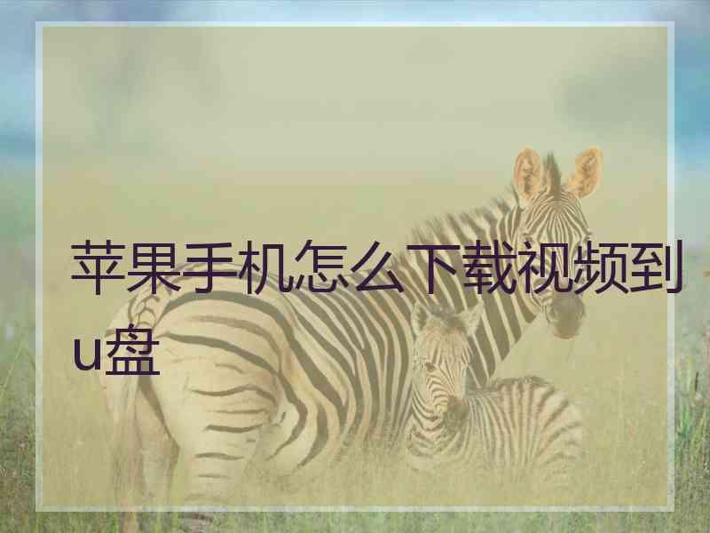 苹果手机怎么下载视频到u盘