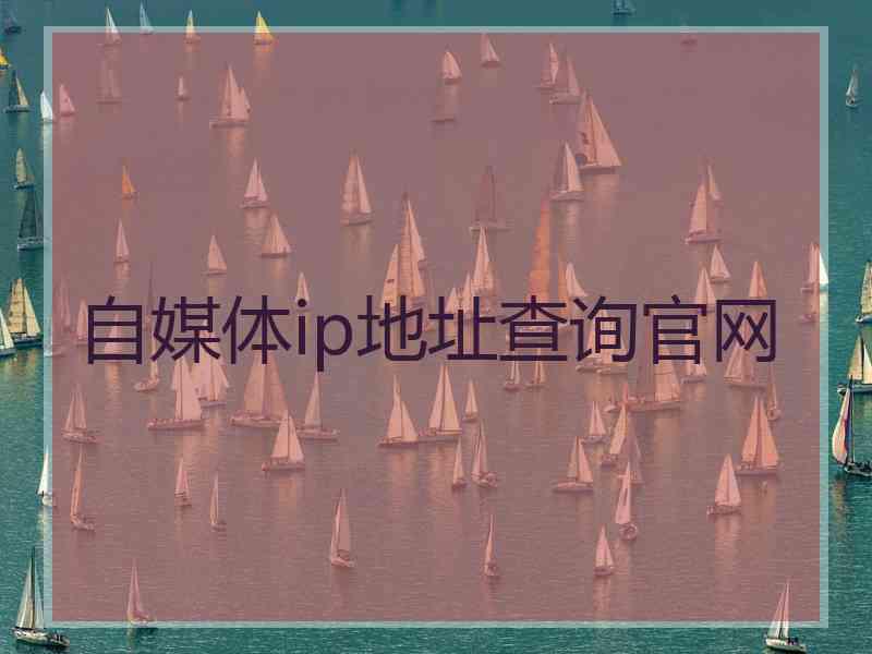 自媒体ip地址查询官网