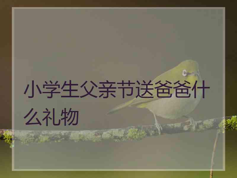 小学生父亲节送爸爸什么礼物