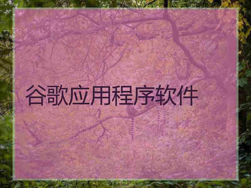 谷歌应用程序软件