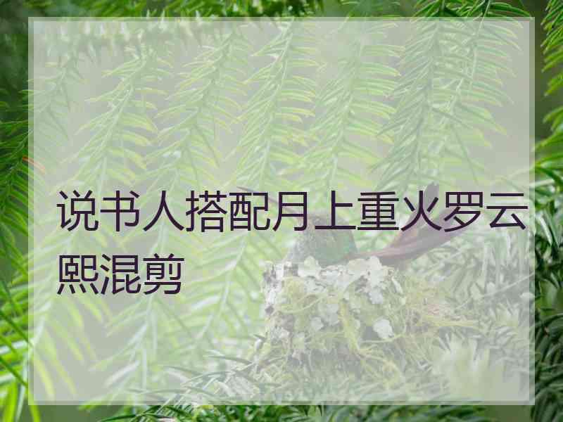 说书人搭配月上重火罗云熙混剪