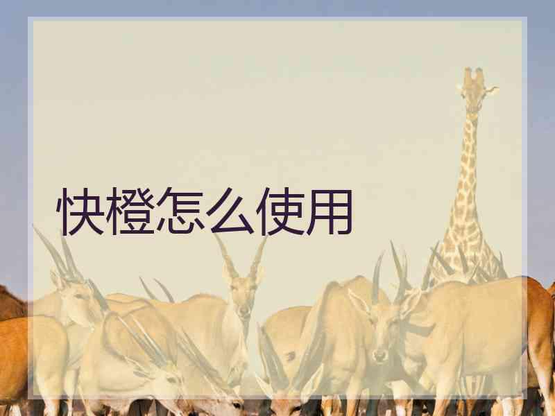 快橙怎么使用