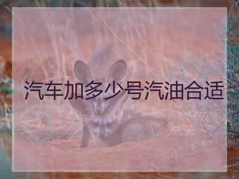 汽车加多少号汽油合适
