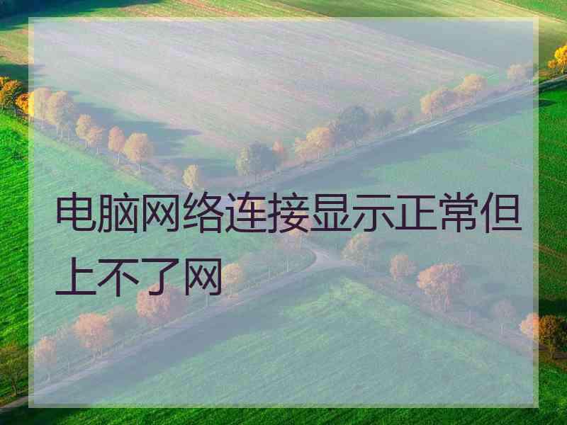 电脑网络连接显示正常但上不了网