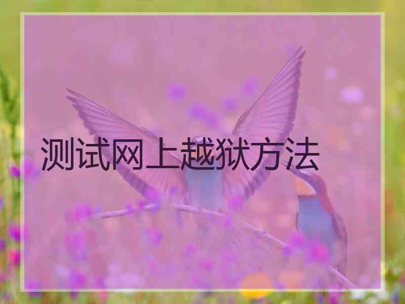 测试网上越狱方法