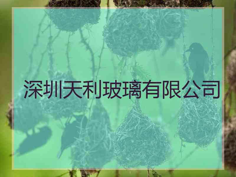 深圳天利玻璃有限公司