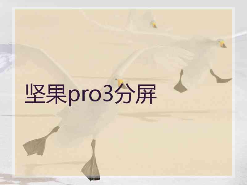 坚果pro3分屏