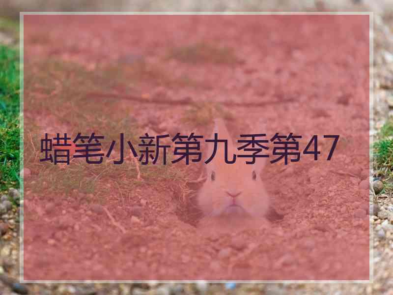 蜡笔小新第九季第47