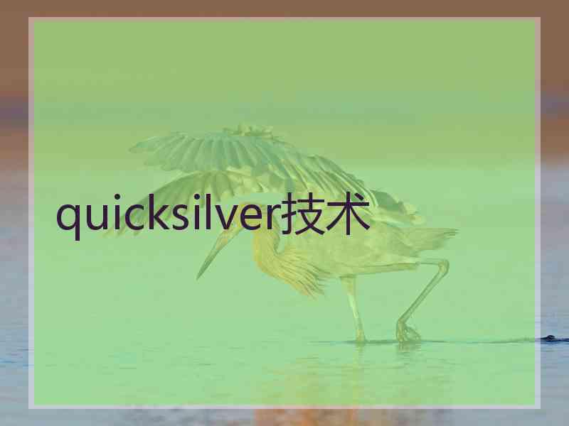 quicksilver技术