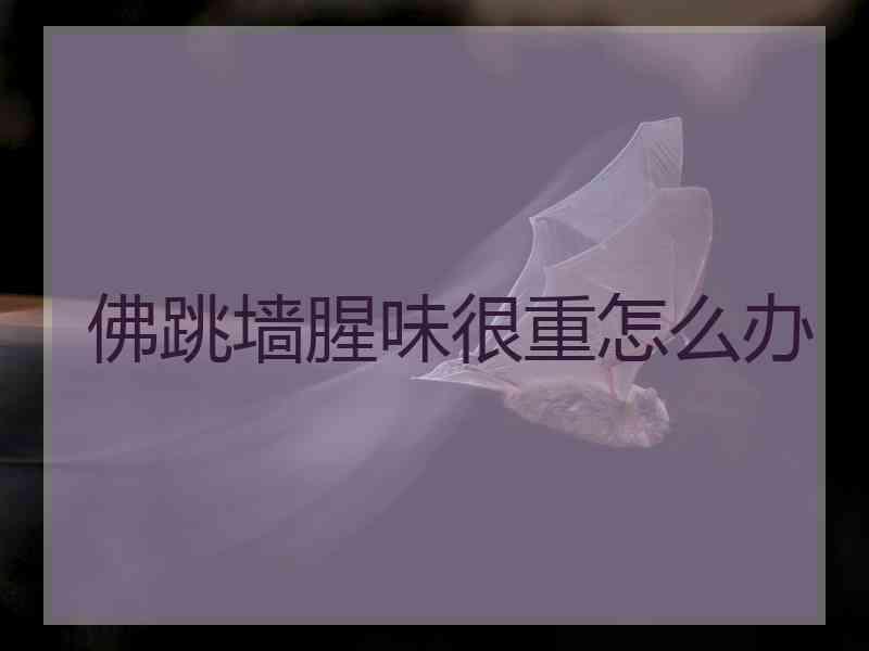 佛跳墙腥味很重怎么办