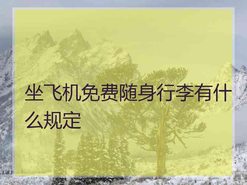 坐飞机免费随身行李有什么规定