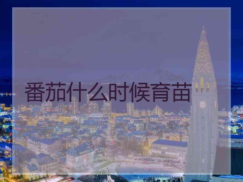 番茄什么时候育苗