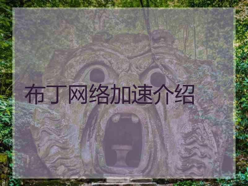 布丁网络加速介绍