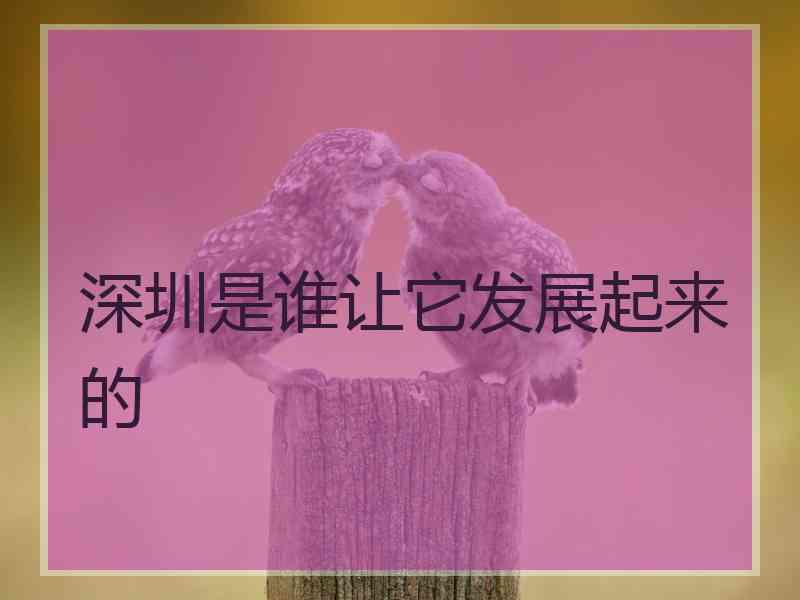 深圳是谁让它发展起来的
