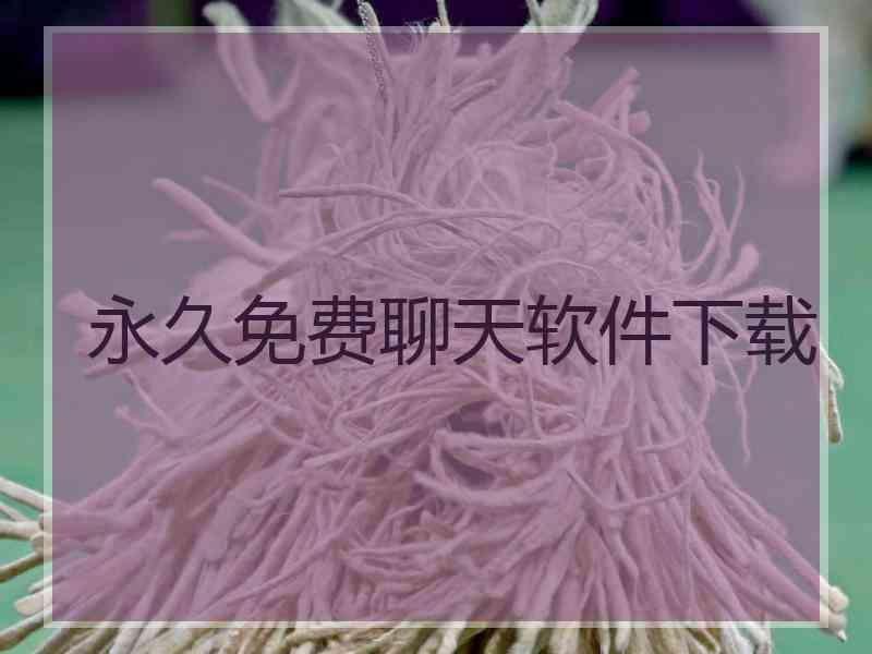 永久免费聊天软件下载