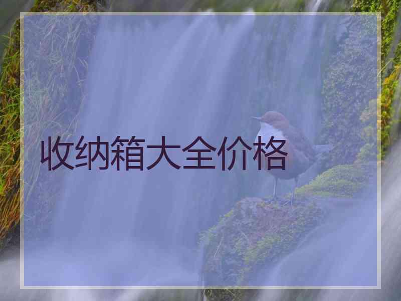 收纳箱大全价格