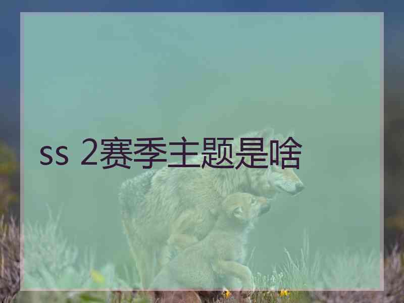 ss 2赛季主题是啥