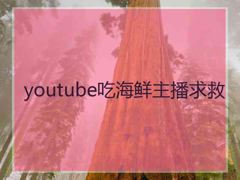 youtube吃海鲜主播求救