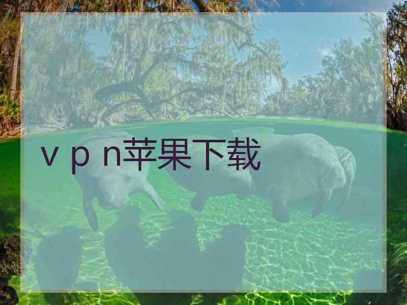 v p n苹果下载