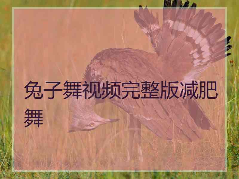 兔子舞视频完整版减肥舞