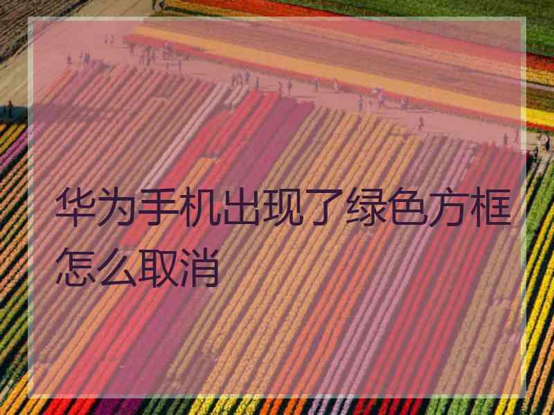 华为手机出现了绿色方框怎么取消