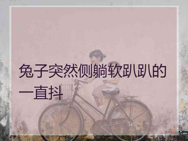 兔子突然侧躺软趴趴的一直抖